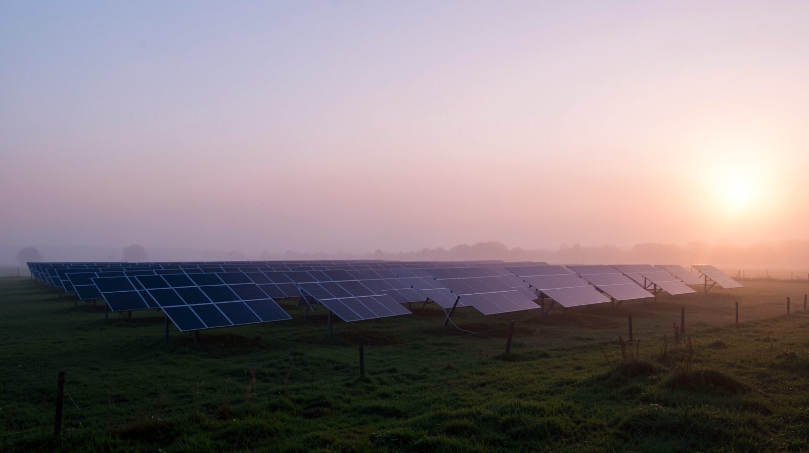 Rows of ground-mounted solar panels in a misty field at sunrise