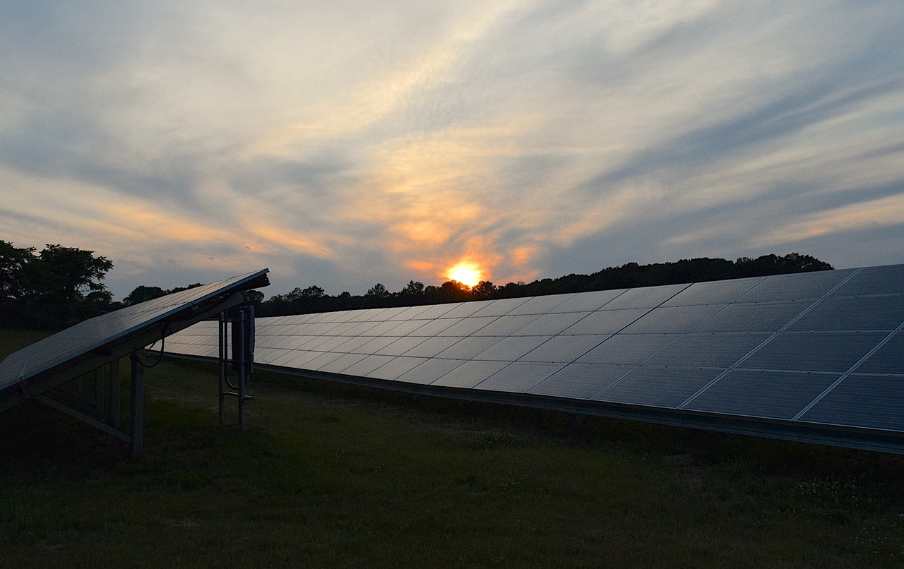 Rows of solar panels in a field under a sunset sky