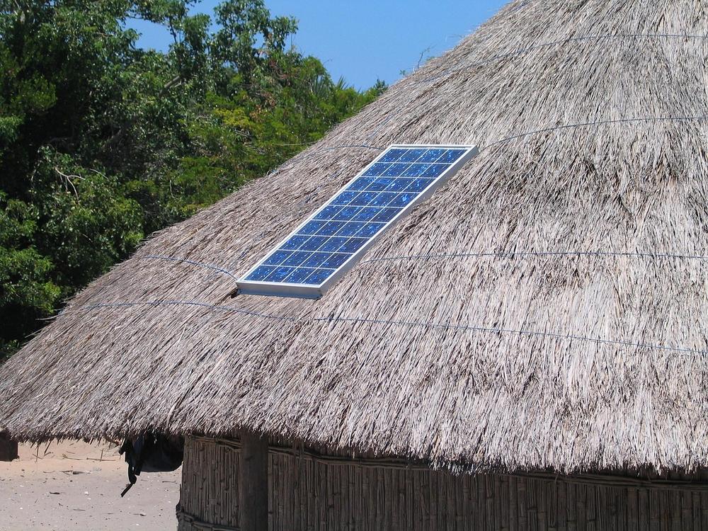 A single solar panel on a sloped thatched roof with trees behind it