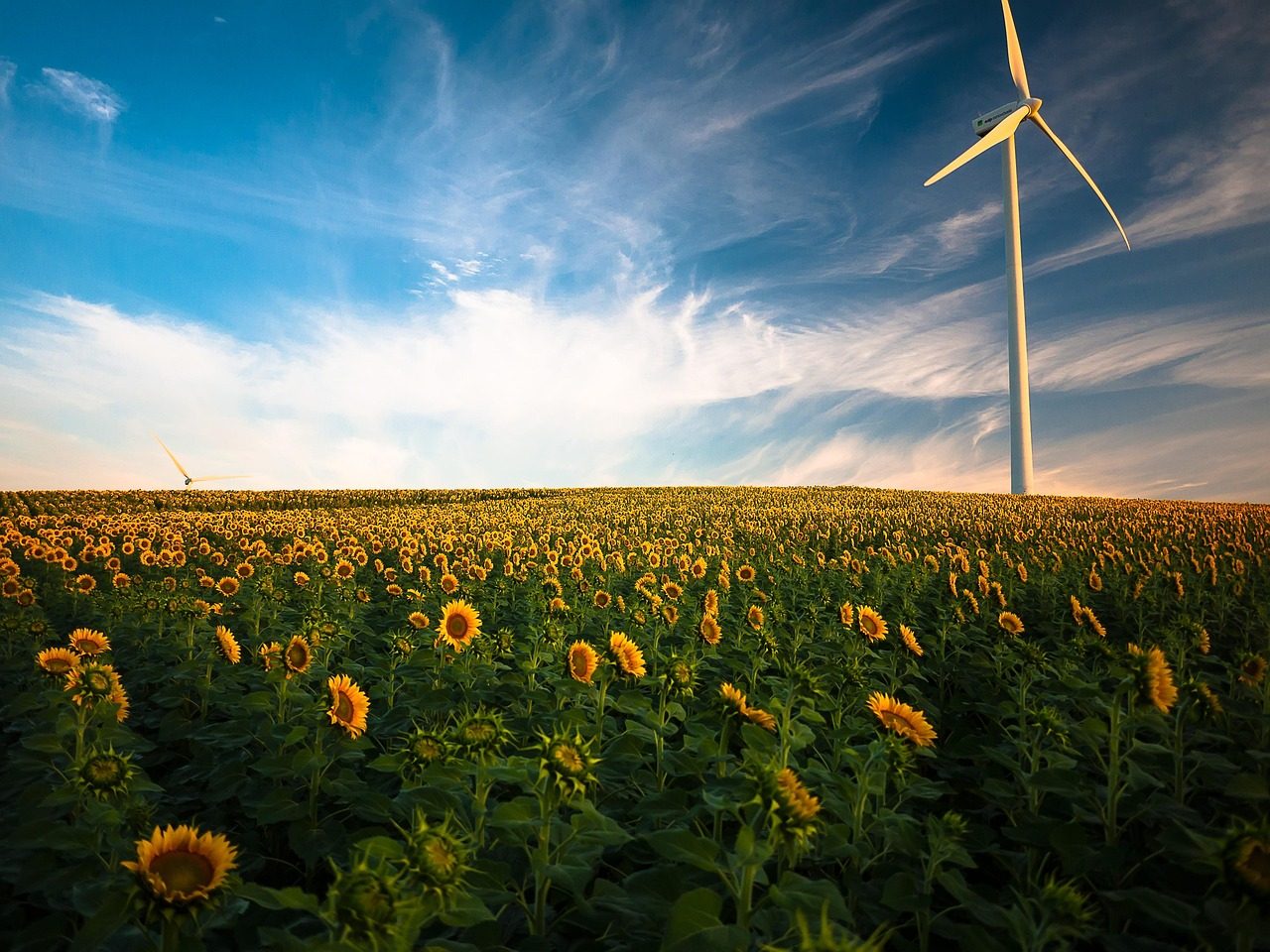 Wind turbines standing on a grassy hill at sunset
